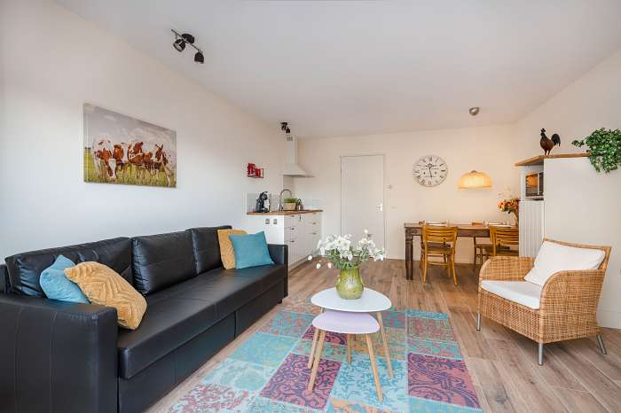 Het Reterink - Dans ce qu'était jamais un étable, sont maintenant cinq logis de vacances - Terrasse privée - Grand salon avec cuisine et convertible confortable pour deux personnes